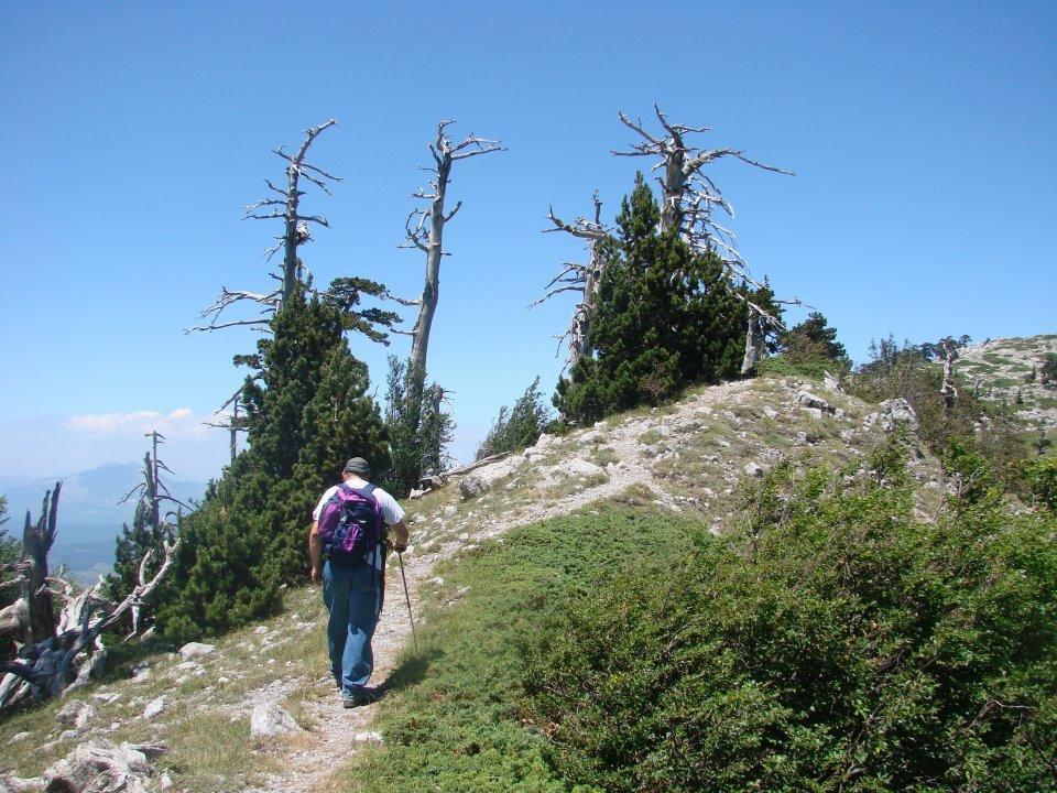 Montagne Rocciose Bed & Breakfast Frascineto Екстериор снимка