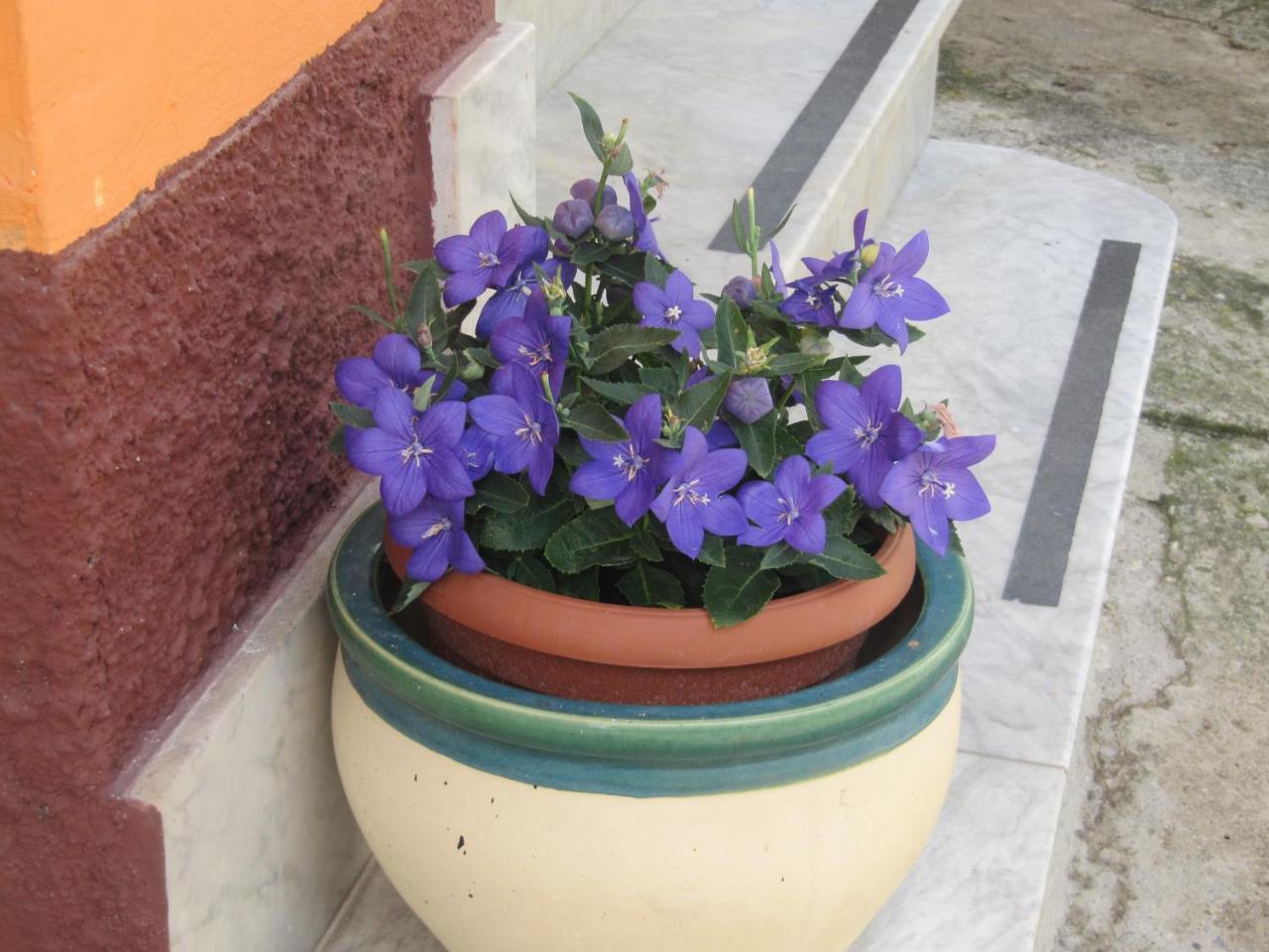 Montagne Rocciose Bed & Breakfast Frascineto Екстериор снимка